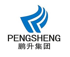 鹏升集团